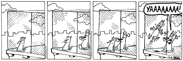 citizendog